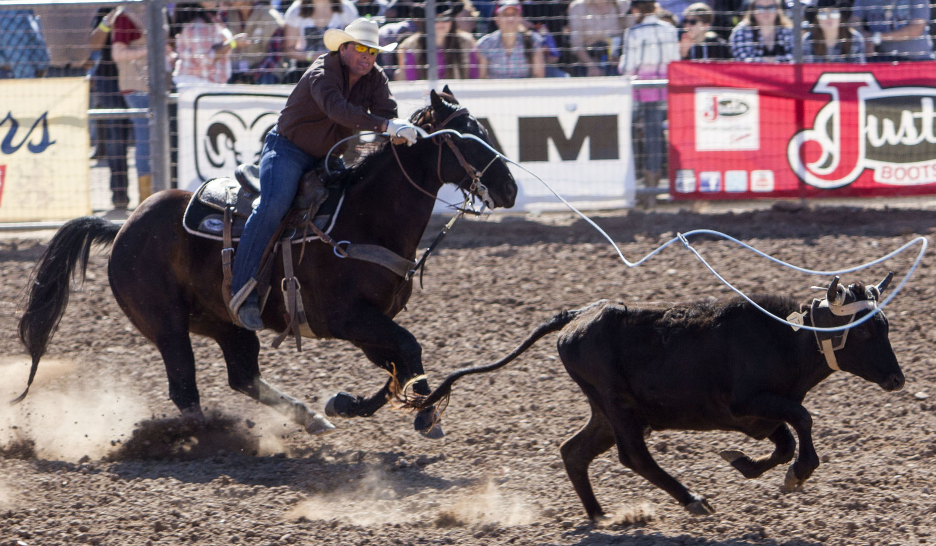 2018 Tucson Rodeo